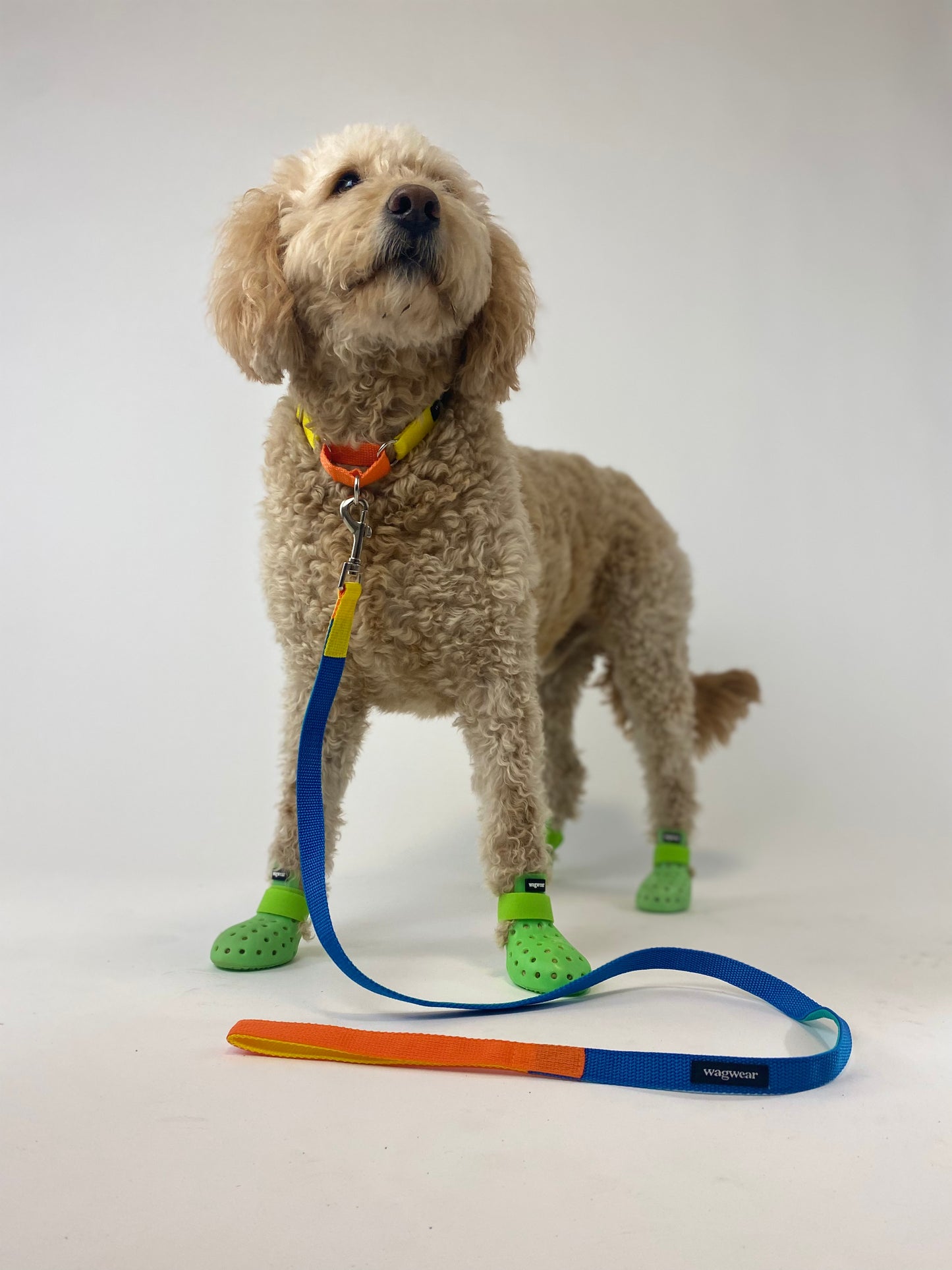 WAGWELLIES MOJAVE
